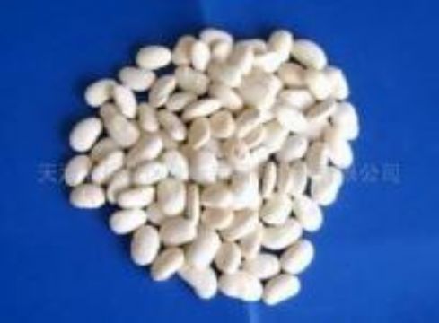 White Kidney Bean Extract